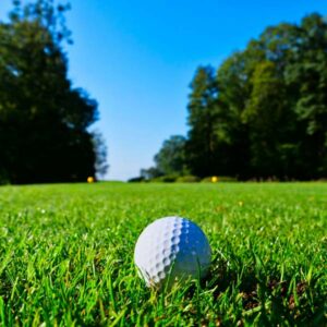 golf_main golf_main